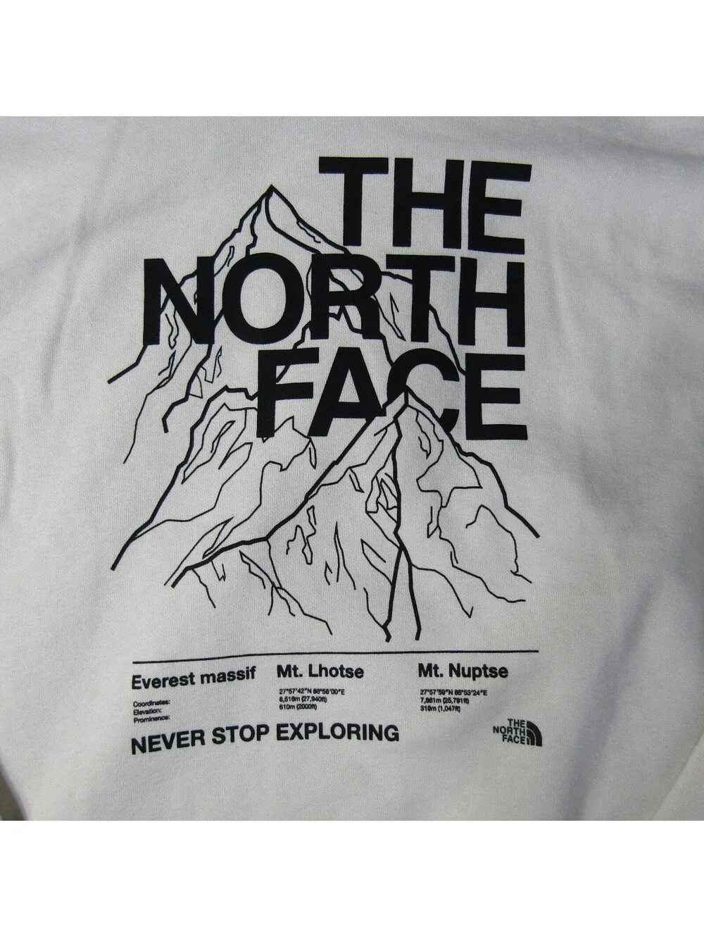 NWT The North Face Evolution Half Dome Mountain Hoodie Men's L White